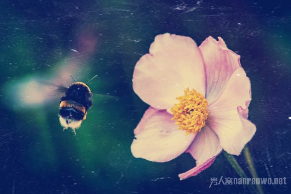 һжһκܼʱ