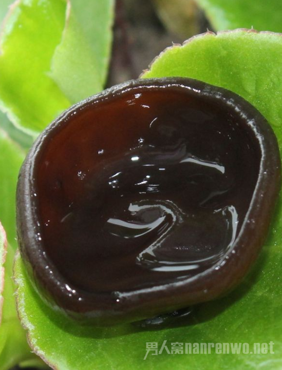 ľСʶ