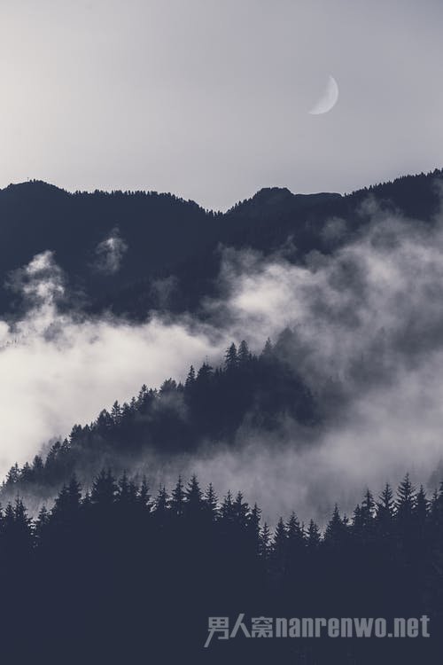 ľ