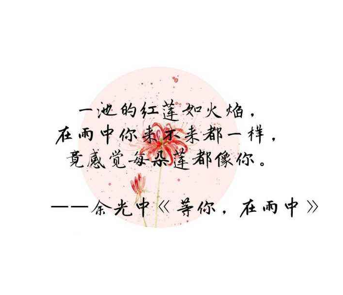 ˾޵һ仰