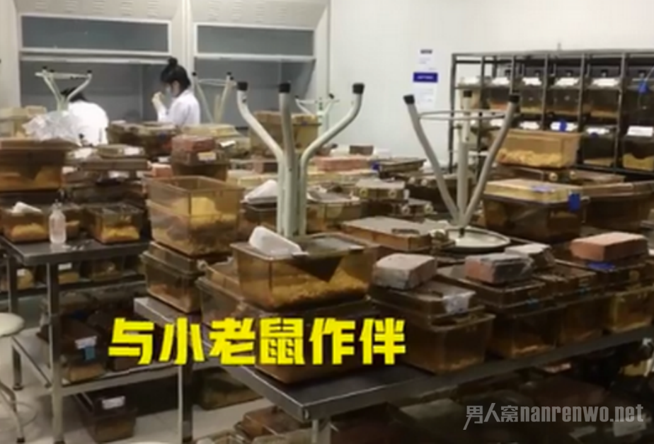 川大本身就是名校