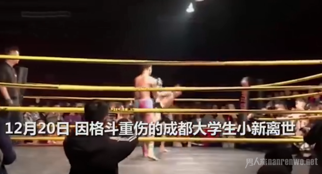 拉他上台的教练要负主要责任吧