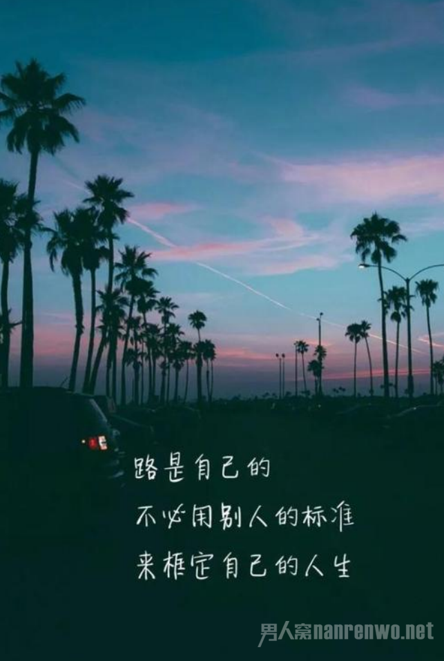 2019¼