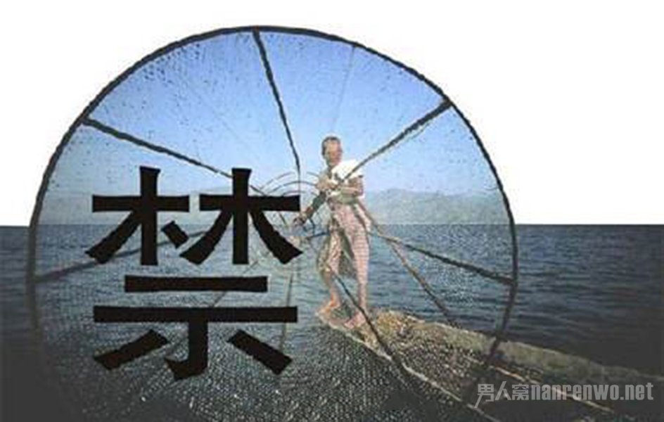 ʮ