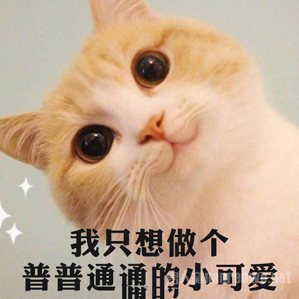 00后排名第三的梦想是普通人