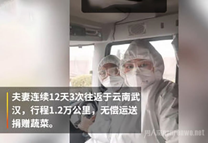 给武汉无偿送菜回乡被骂瘟神