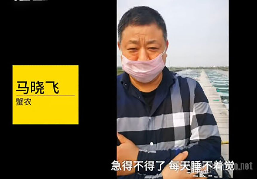 阳澄湖螃蟹大量滞销