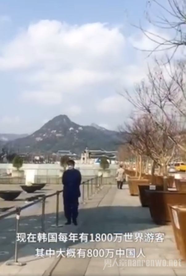 韩国导游一个多月没接单