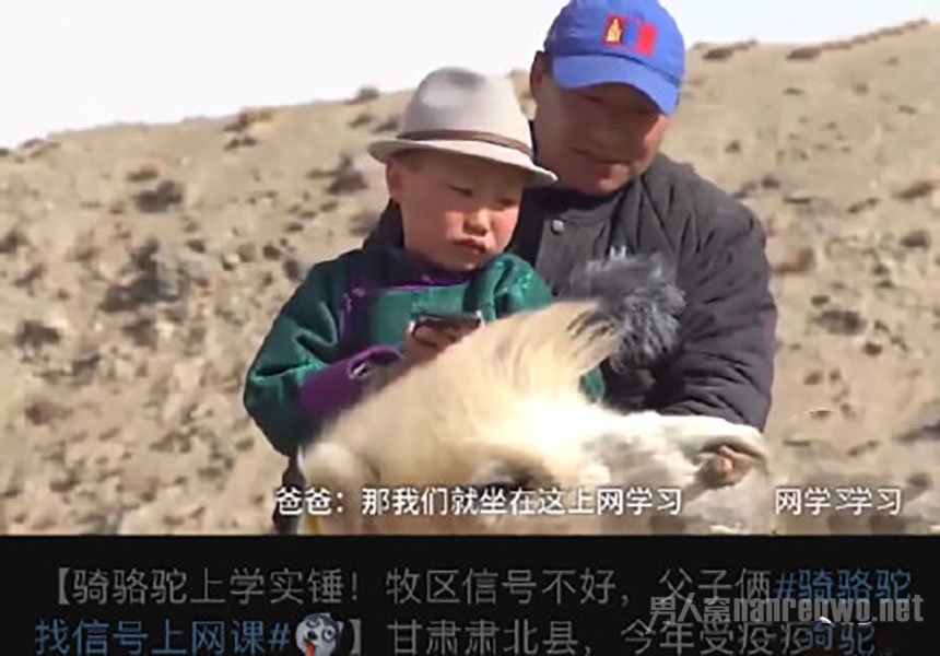 骑骆驼找信号上网课