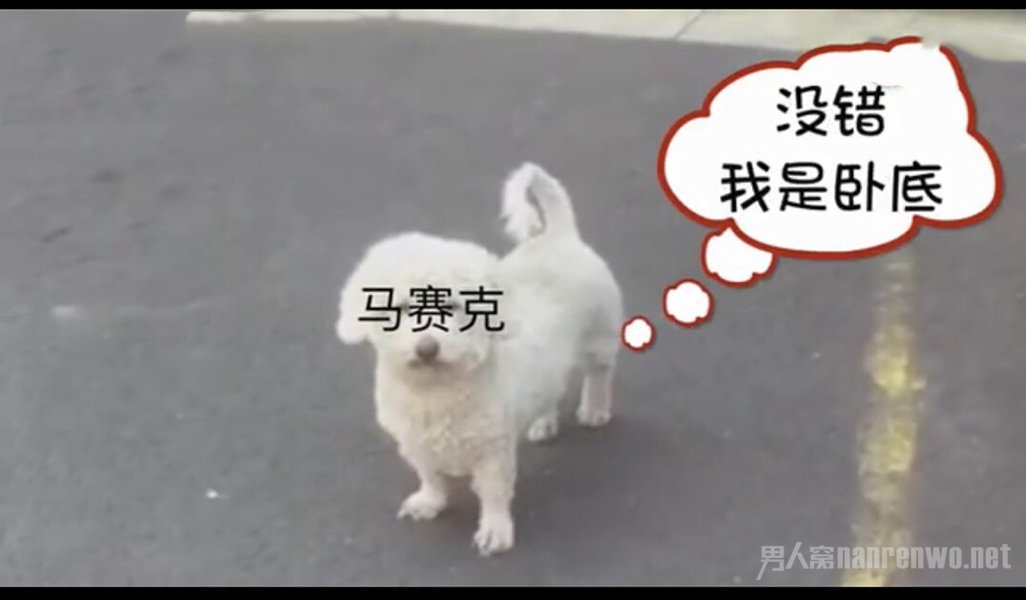 民警送狗子回家发现主人聚众赌博