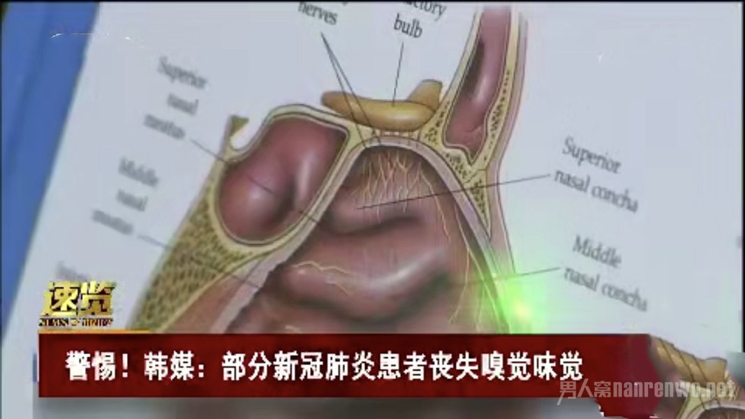 韩国大邱15%确诊患者嗅觉味觉丧失