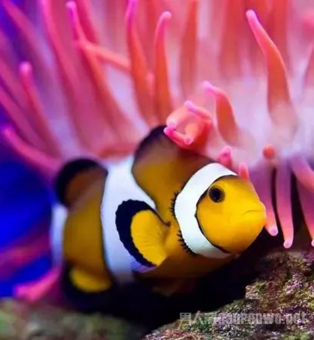 ���͹��͹�