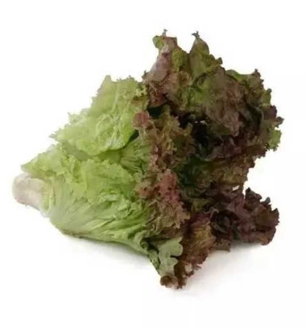 ҳ