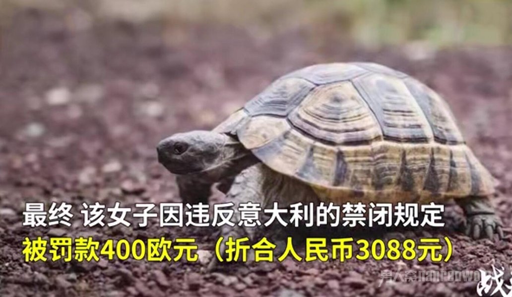 ڹ걻400ŷԪ