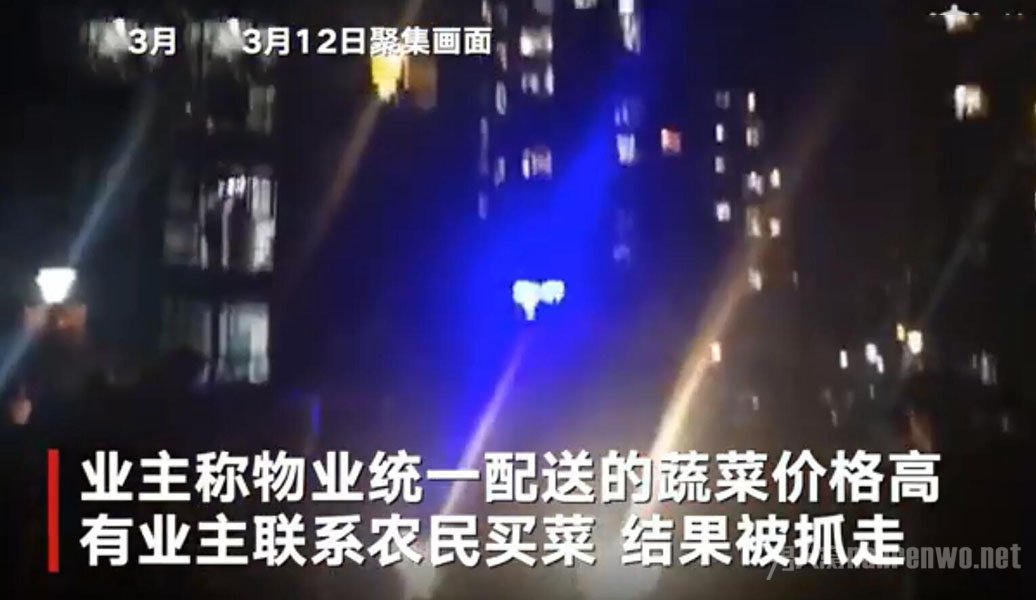 孝感小区近百人聚集煽动者被捕