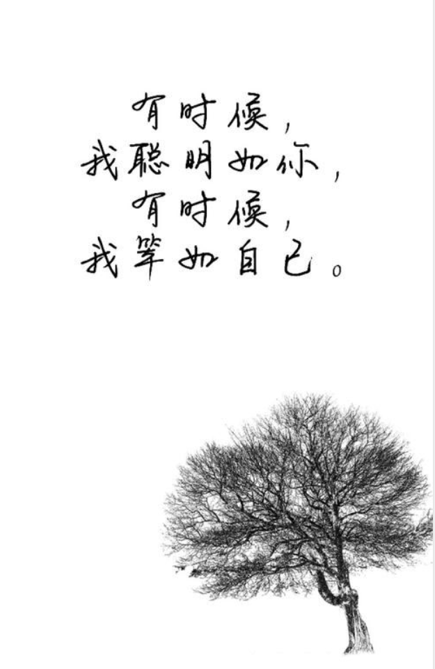 ϴ¼