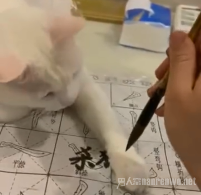 èʶֱ廪