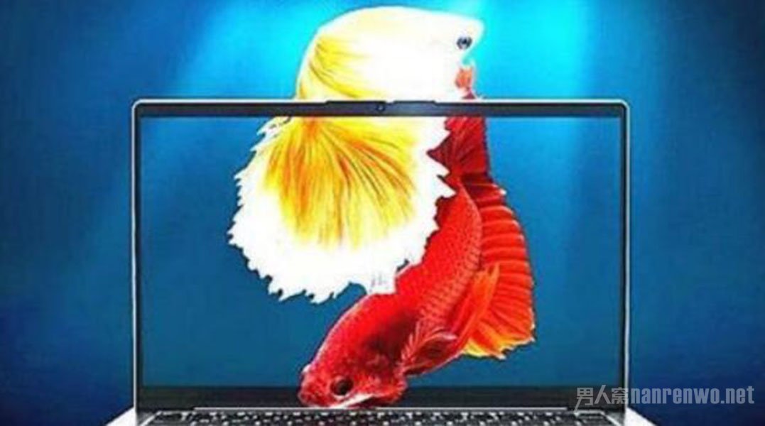 1  LENOVO СAir14 2020