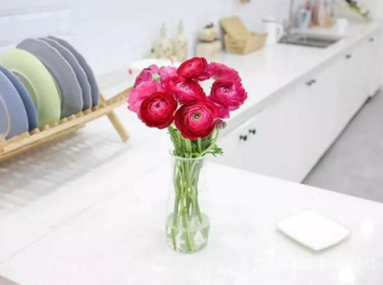 ���˵���Ŀ��ϵľ���