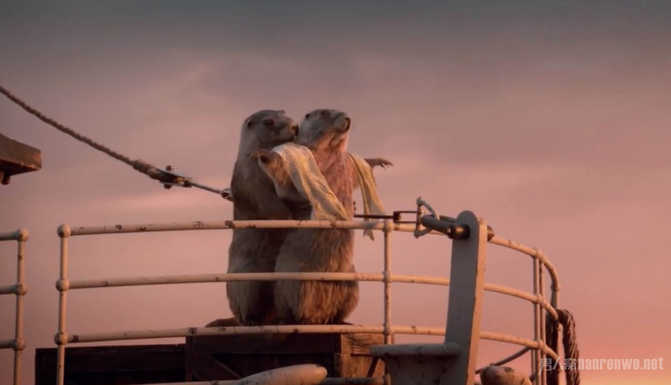 �������̩̹��˺�