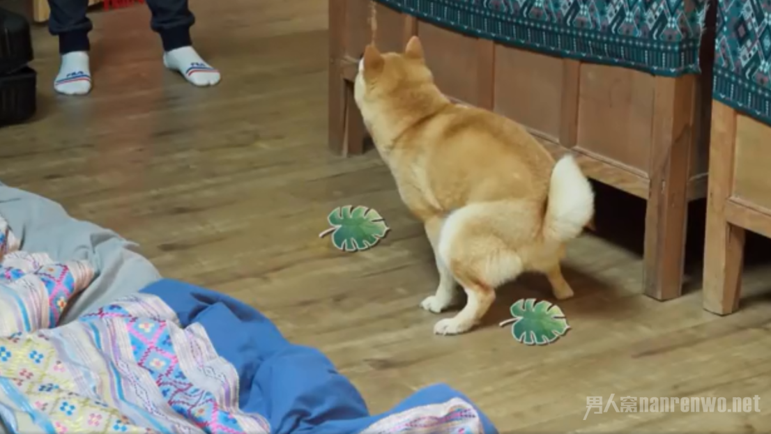 СOӷ㷴Ӧ