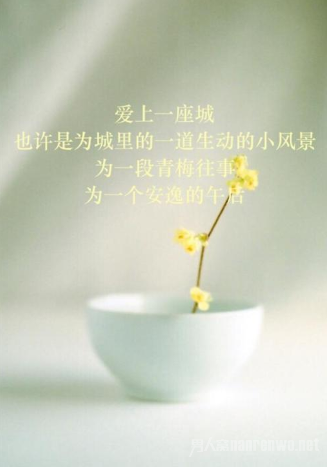 ʺĶ̾
