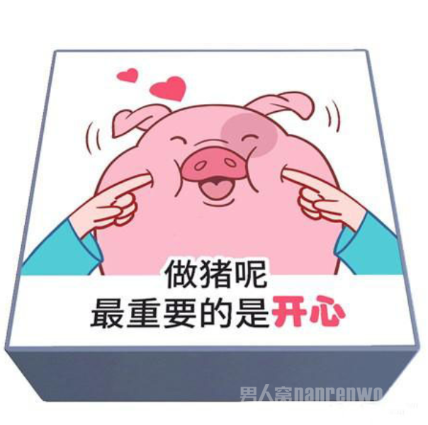 进口猪饲料ins网红零食大礼包