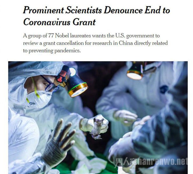 77��ŵ�����������Ǵ��������