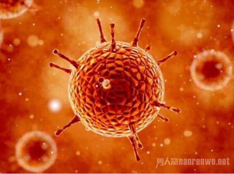 77��ŵ�����������Ǵ��������