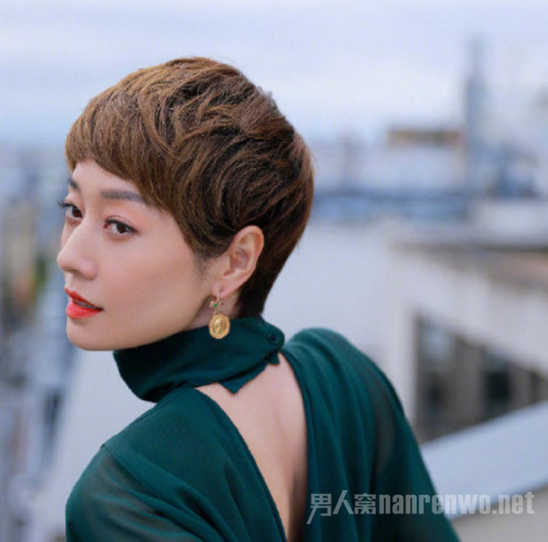 ���������P��������